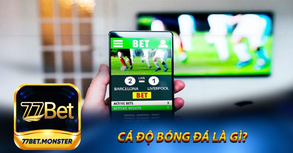 Cá Độ Bóng Đá Là Gì?