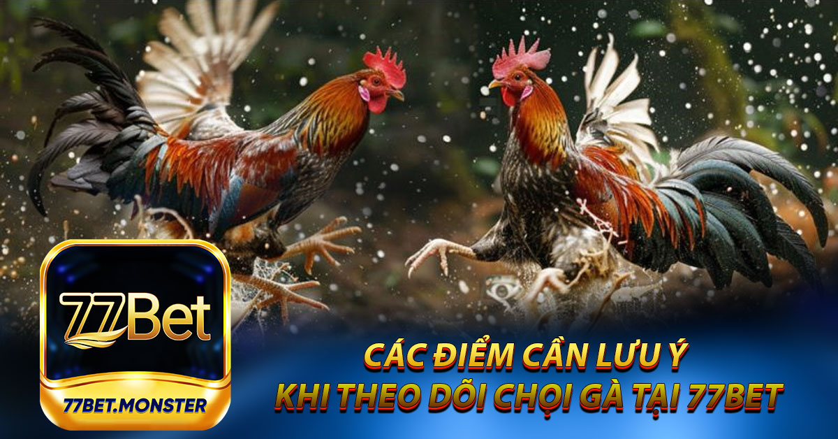 Các điểm cần lưu ý khi theo dõi chọi gà tại 77bet mà bạn nên nắm rõ