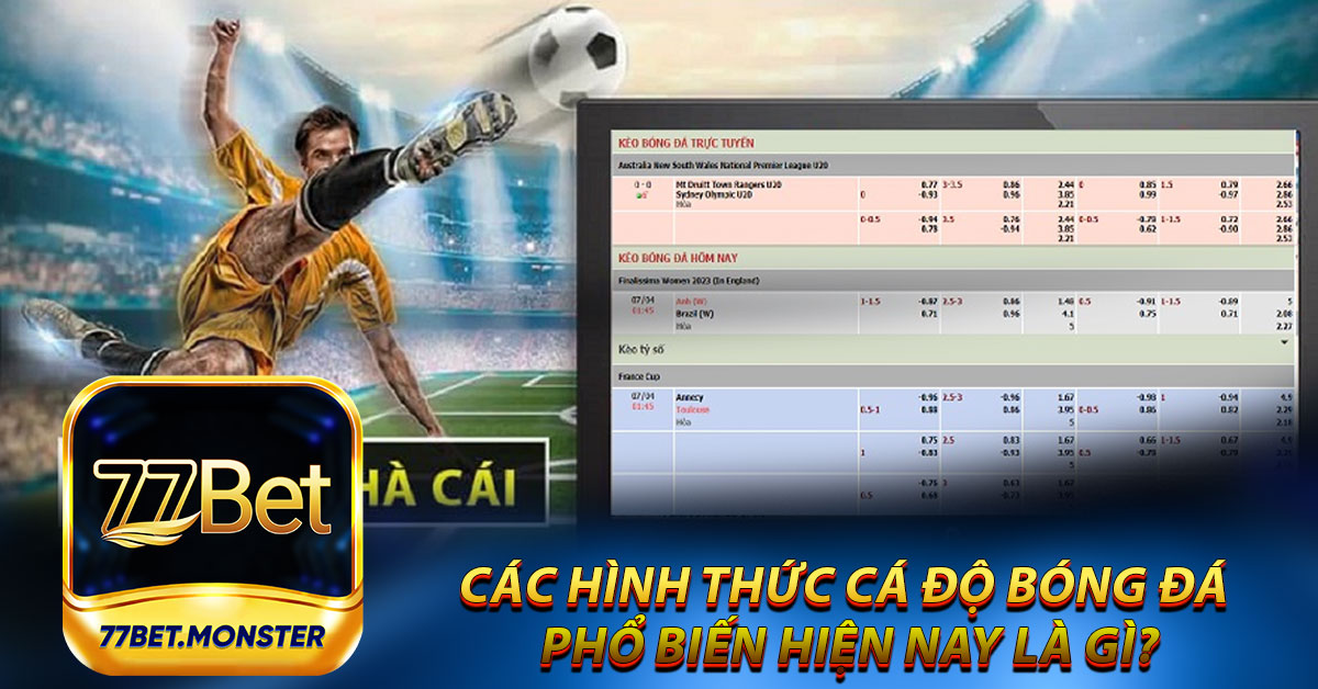 Các hình thức cá độ bóng đá phổ biến hiện nay là gì?