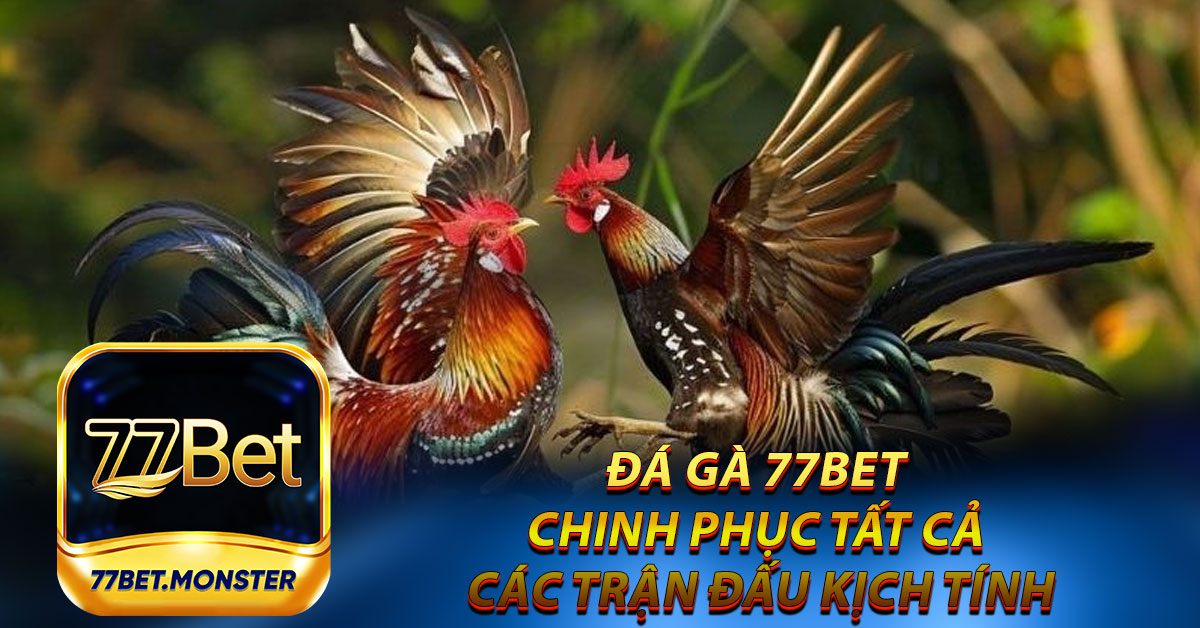 Đá Gà 77bet - Chinh Phục Tất Cả Các Trận Đấu Kịch Tính