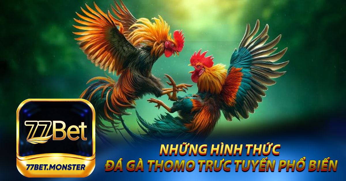 Những hình thức đá gà Thomo trực tuyến phổ biến