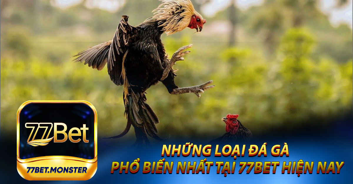 Những loại đá gà phổ biến nhất tại 77bet hiện nay