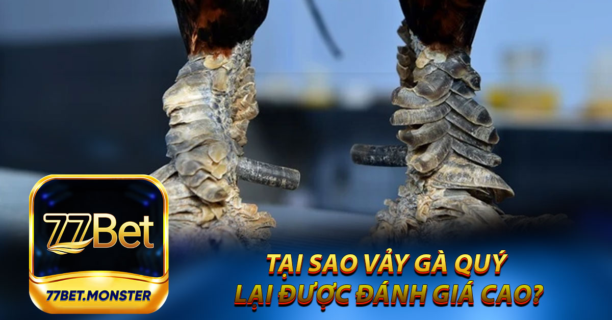 Tại sao vảy gà quý lại được đánh giá cao?