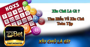 Xỉu Chủ Là Gì