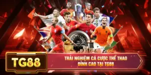 Trải nghiệm chơi bóng đá tại nhà cái tg88