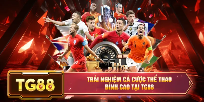Trải nghiệm chơi bóng đá tại nhà cái tg88